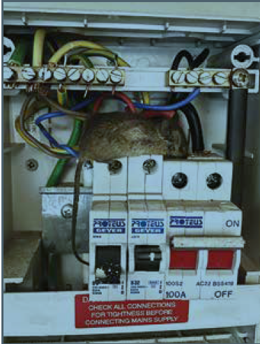 Consumer_unit_outdoors_Fig6.png Consumer_unit_outdoors_Fig6.png