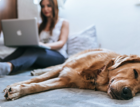 Woman working on laptop with dog asleep next to her