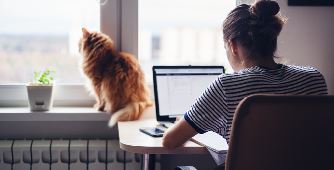 Young person, sitting at home deck, working on computer, with ginger cat sitting in the window.